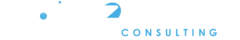 Vizual Intelligence Consulting